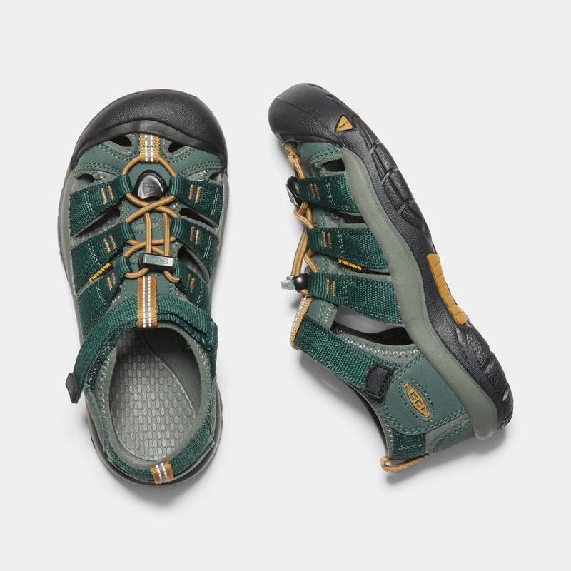 Sandalias Keen Newport H2 Para Niños Verdes Oscuro - Sandalias Keen Mexico (837296-DFW)